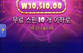슈가1000