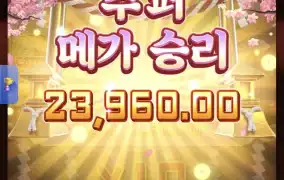 피지네코바닥