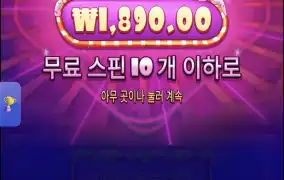 슈가1000