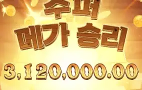 와일드 바운티 쇼다운 미쳤네 310만 원 단숨에 복사 성공 ㅋㅋㅋ