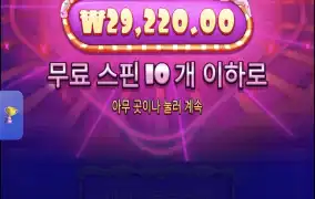 슈가1000