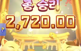 피지네코2