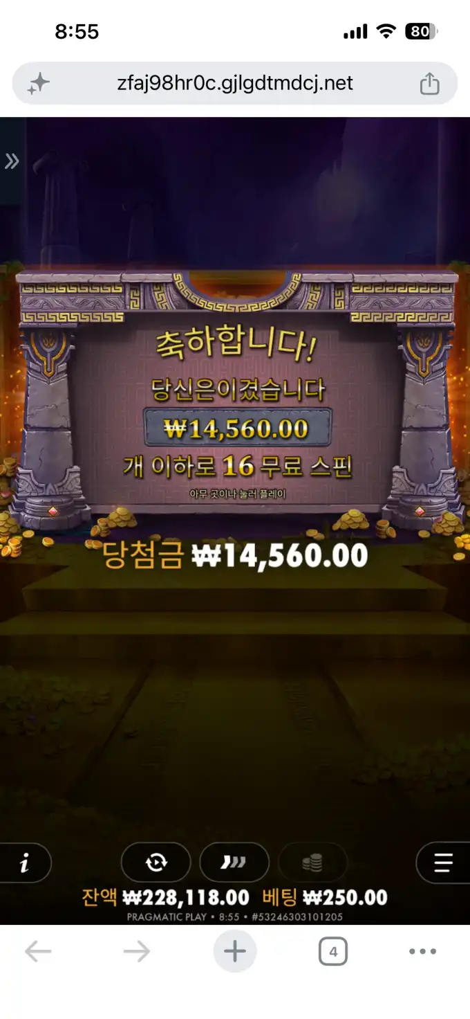 20260623112624IMG_7576.png