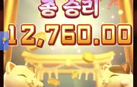 피지네코