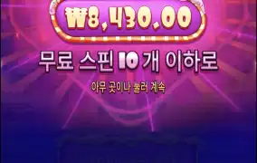 슈가1000
