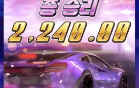 피지스피드위너