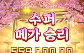 PG SOFT 행운의네코 무슨일임?ㅆㅅㅅㅅㅅㅅㅅ