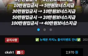 뉴헤븐후기