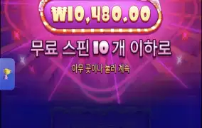 슈가1000