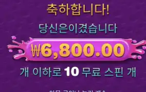 보난자천