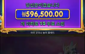 공주천 나이스