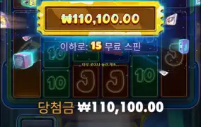 퓨리 보난자 10콩