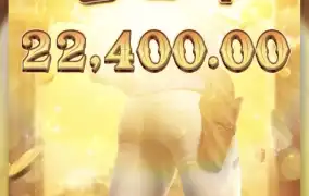피지바운티