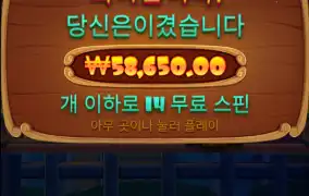 개집