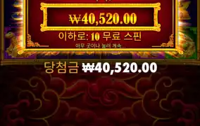 스핀진입