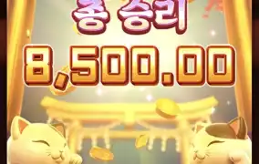 피지네코