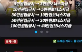 뉴헤븐후기