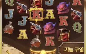 피지 총잡이