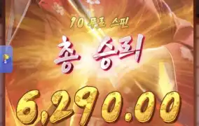 피지게이샤