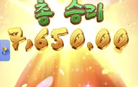 피지왕비2