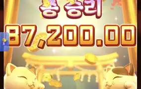 피지네코2