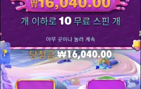 보난자천