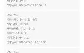 뉴헤븐 후기