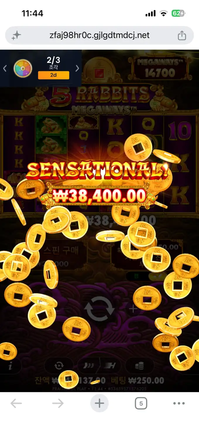 20260627141540IMG_7719.png