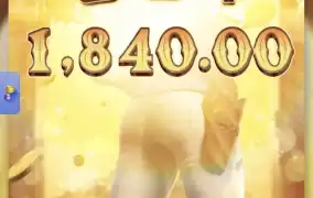 피지바운티