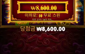 5레빗 구매