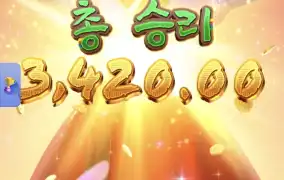 피지왕비3