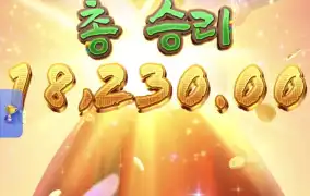 피지왕비3