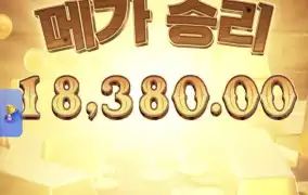 피지바운티2