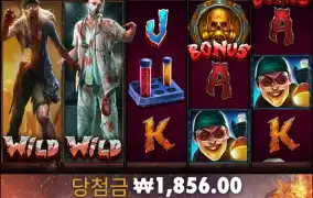 와일드워커