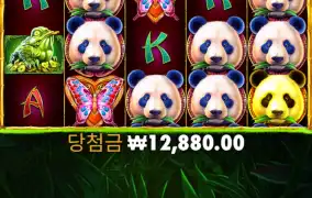 뉴헤븐 후기