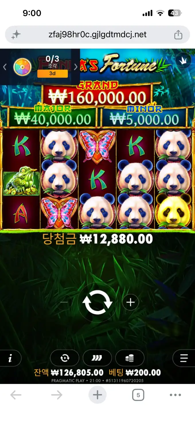 20260604210049IMG_6486.png