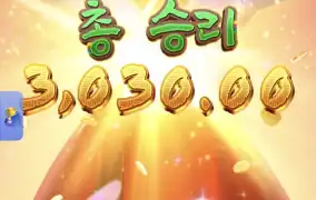 피지왕비