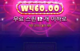 일반슈가 구매 실환가 ;;