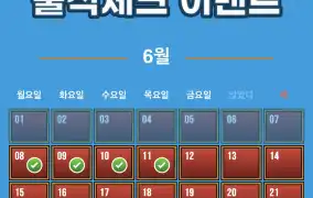 뉴헤븐후기