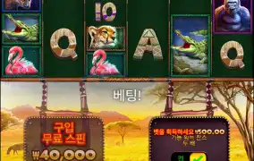 뉴헤븐후기