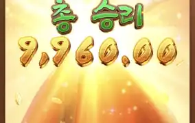 피지왕비