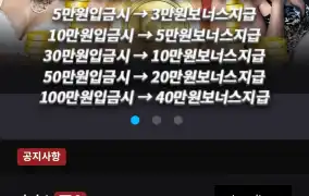 뉴헤븐후기