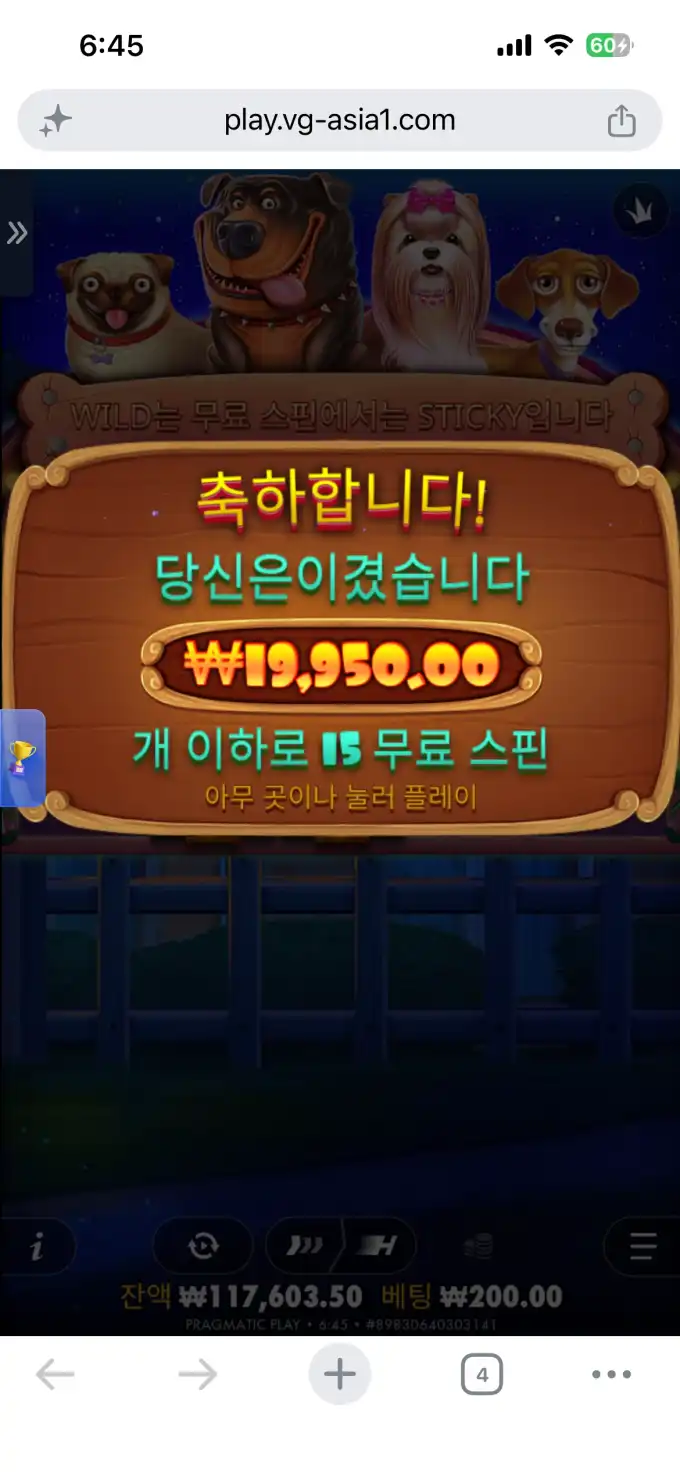 20260630065940IMG_7909.png