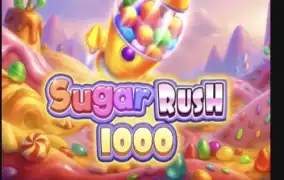 슈가1000