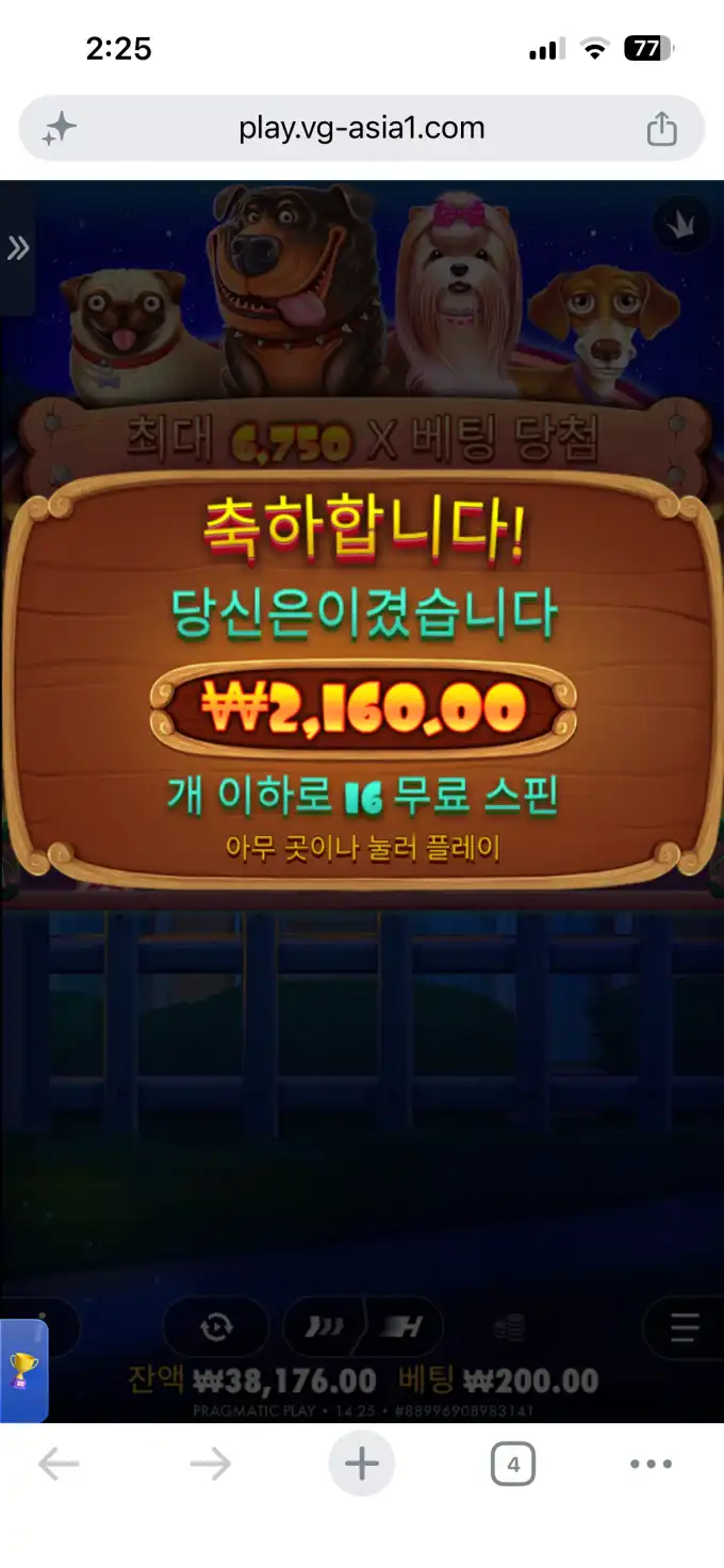 20260610143650IMG_6891.png