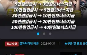 뉴해븐후기