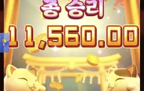 피지네코