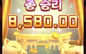 피지네코