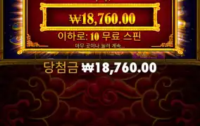 뉴헤븐 후기