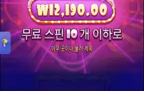 슈가1000